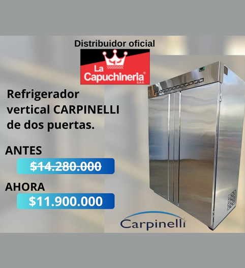 Refrigerador vertical CARPINELLI de dos puertas